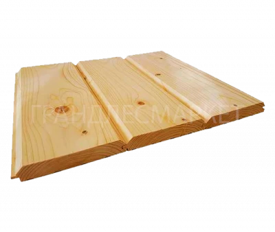 фото Ель фото Ель