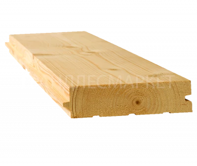 фото Европол фото Европол